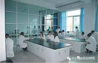 我的教育情懷 西安生物醫(yī)藥技術學院發(fā)展規(guī)劃與生物技術開發(fā)