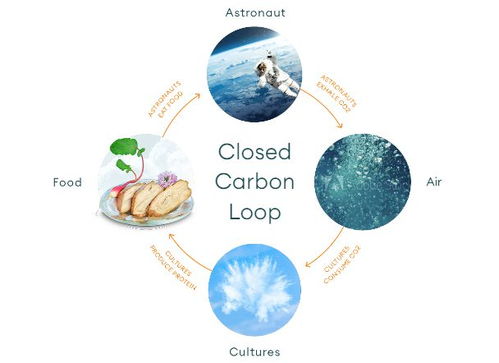 空氣造肉 生物技術顛覆食品科技，人類飲食革命或將開啟